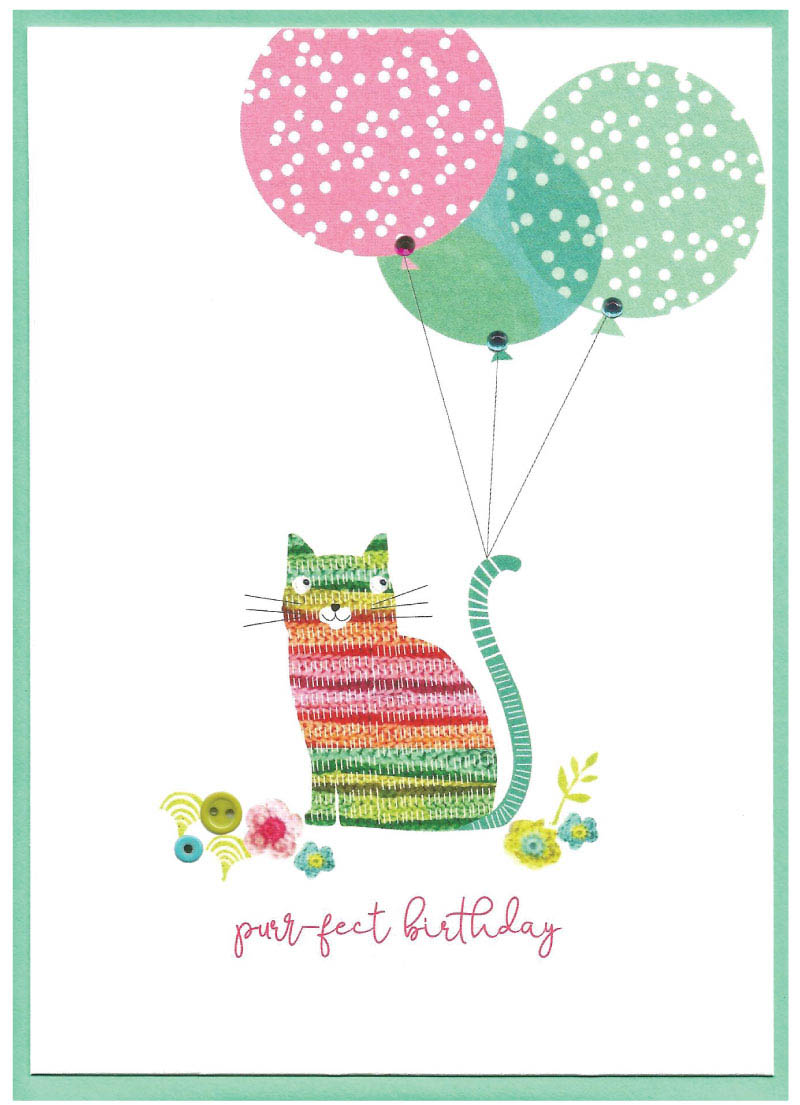 Armadillo: Purrfect Birthday