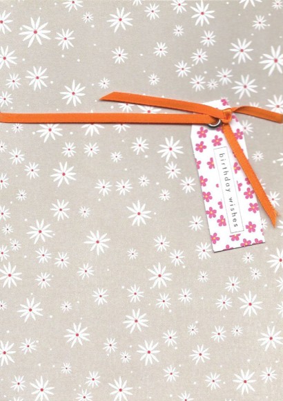 Cherry Blossom: Birthday Daisies