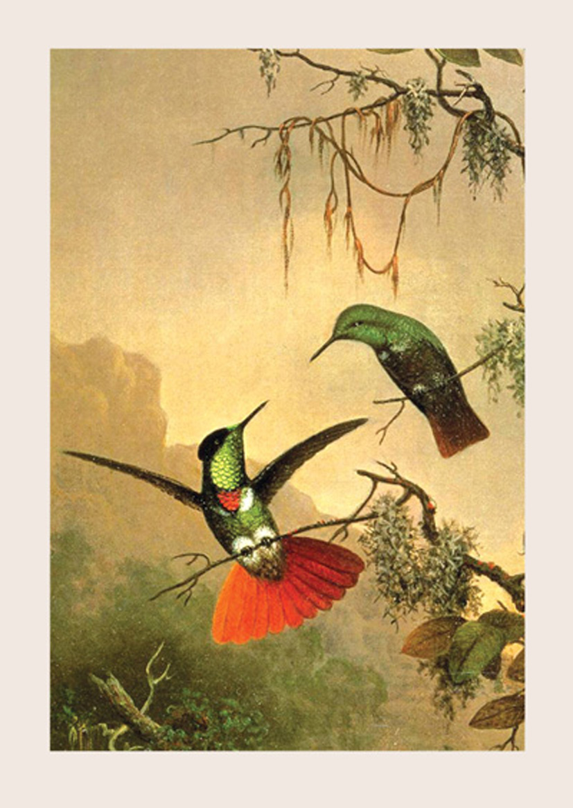 Martin Heade: Two Hummingbirds