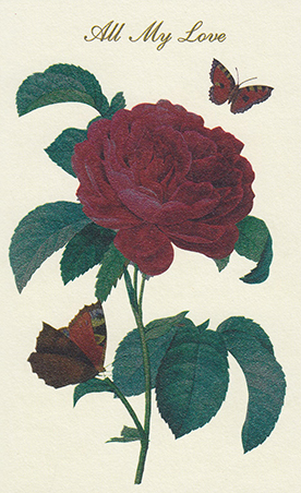 Foxbutler: All My Love Rose