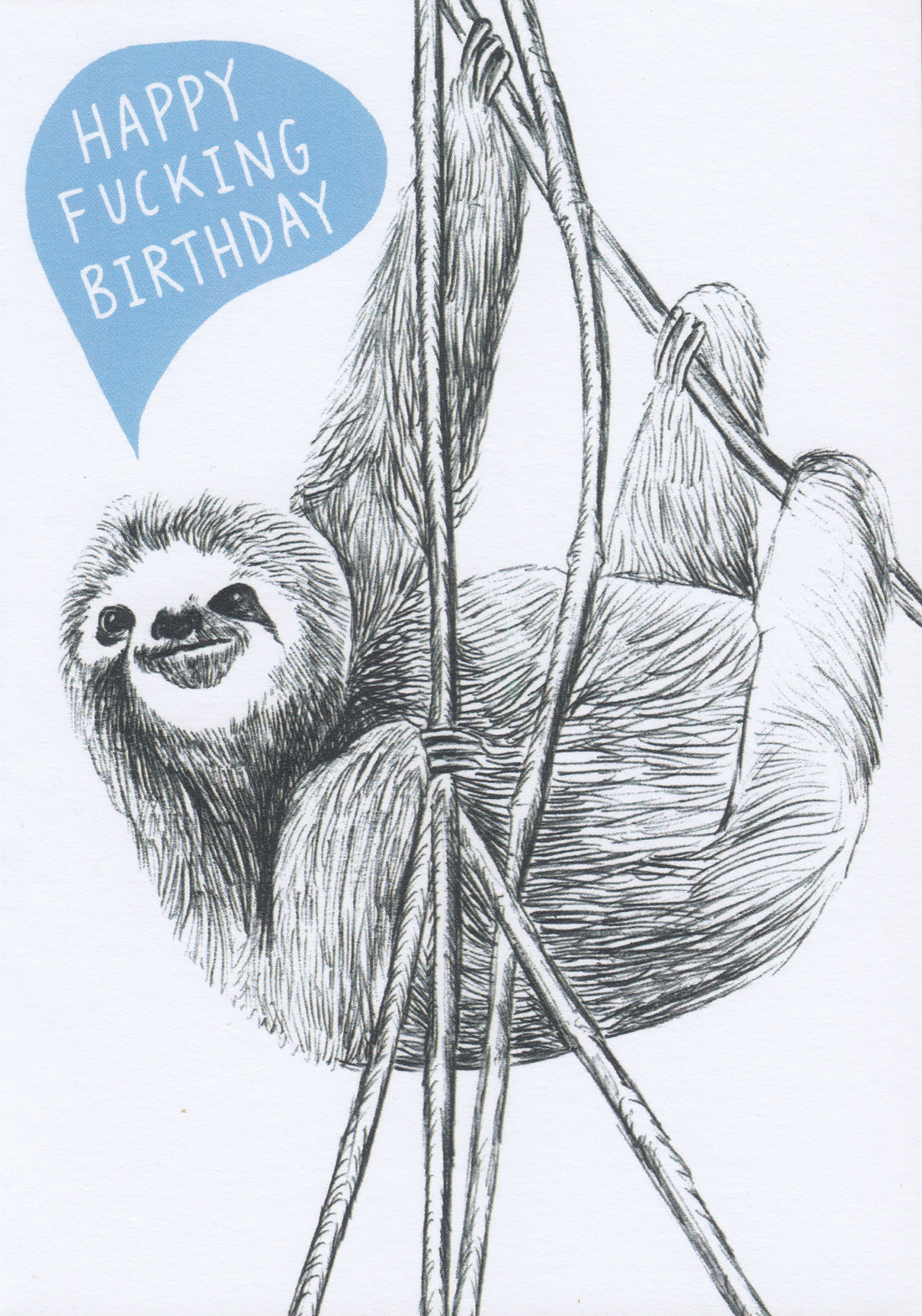 Charly Clements: Birthday Sloth