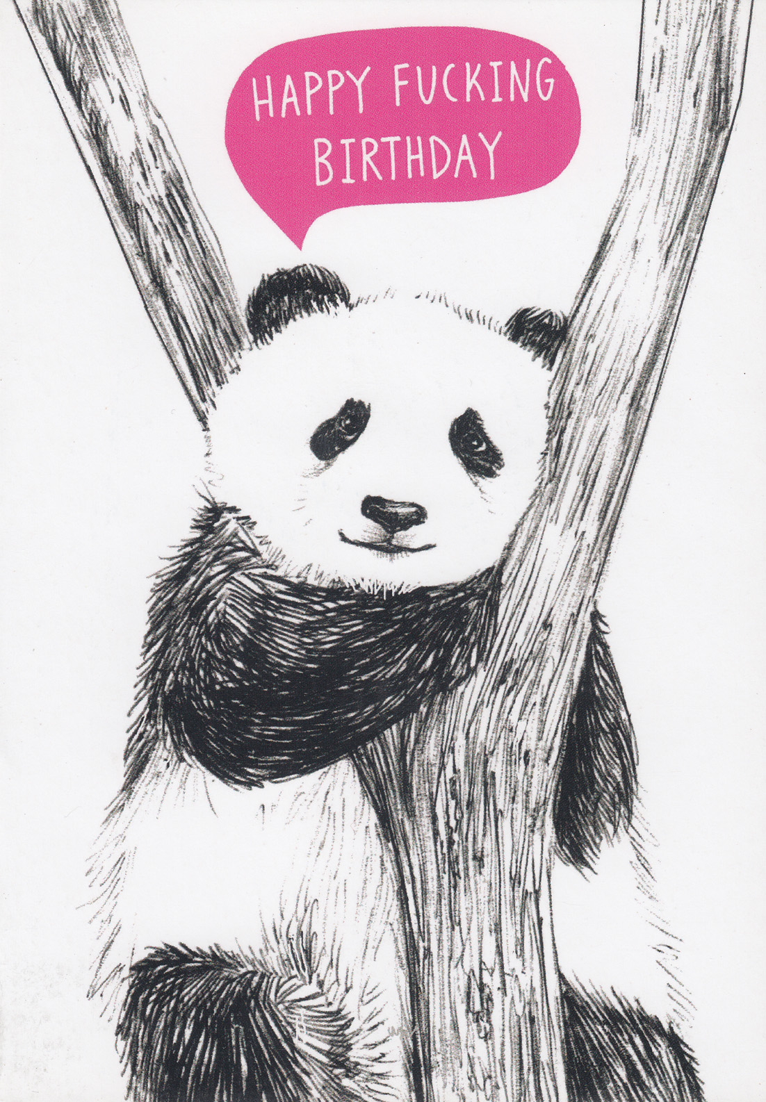 Charly Clements: Birthday Panda