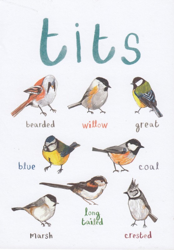 Sarah Edmonds: Tits