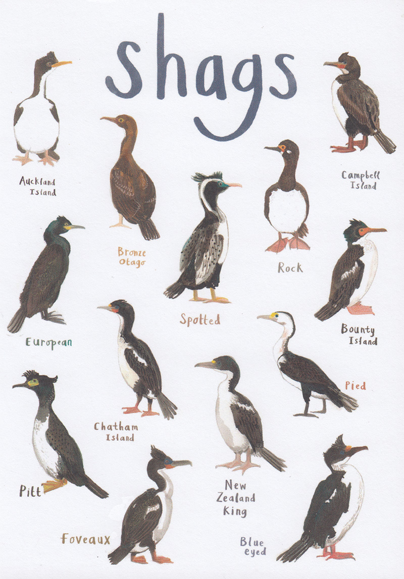 Sarah Edmonds: Shags