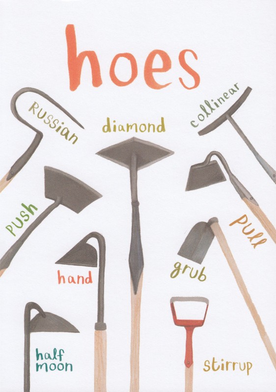 Sarah Edmonds: Hoes