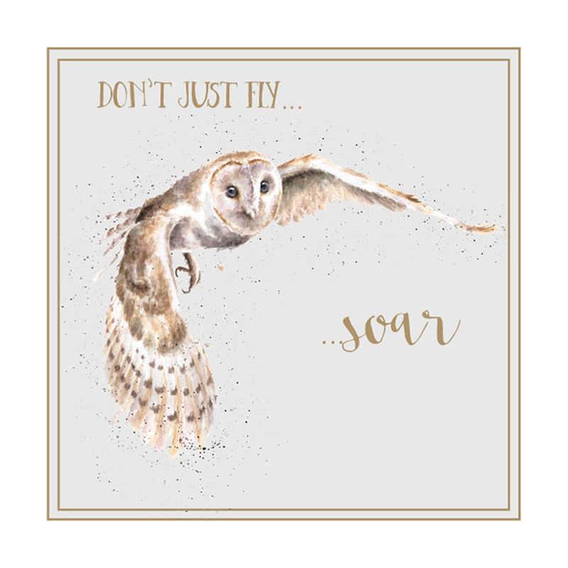 Words Of Wisdom: Soar