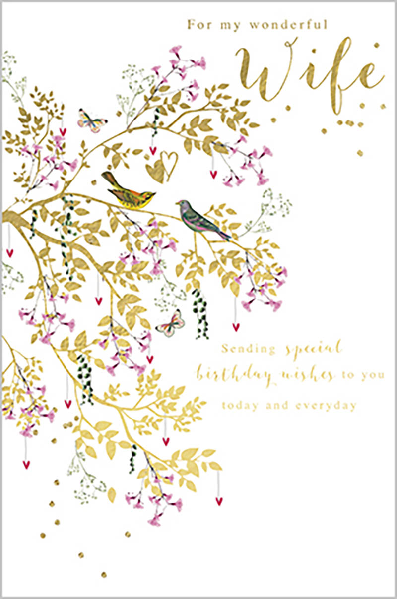 Belgravia: Wonderfl Wife Birds