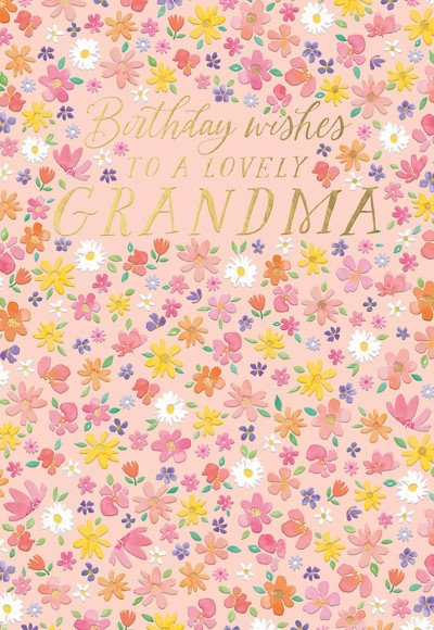 Birthday Wishes Lovely Grandma
