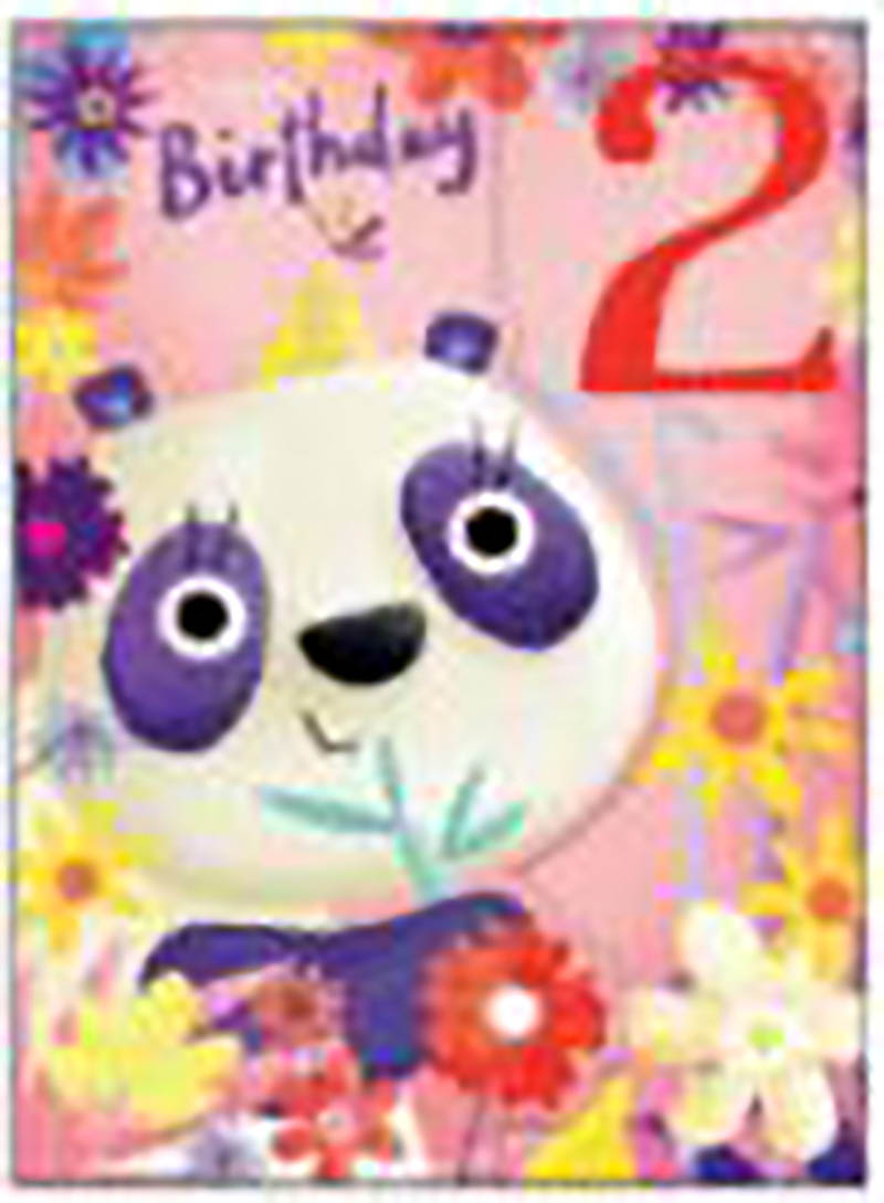 Wild Ones: Age 2 Girl Panda