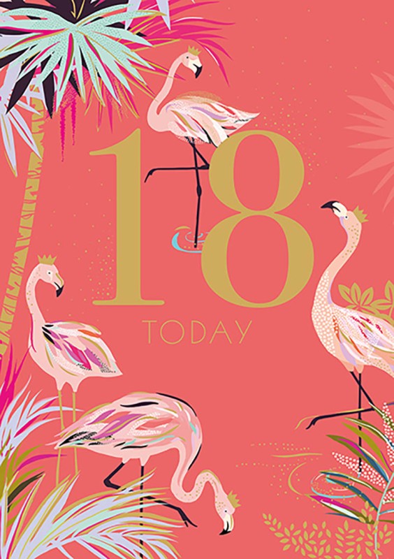 Sara Miller: Age 18 Flamingoes