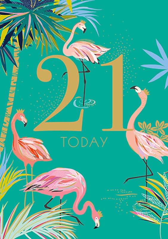 Sara Miller: Age 21 Flamingoes