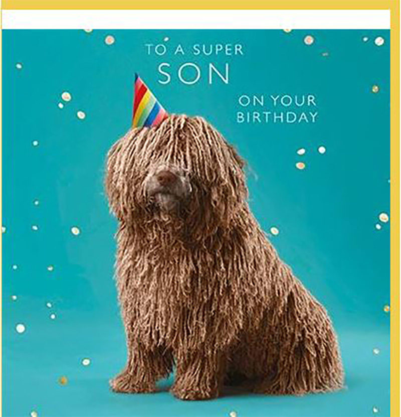 Photogram: Son Birthday Party Dog
