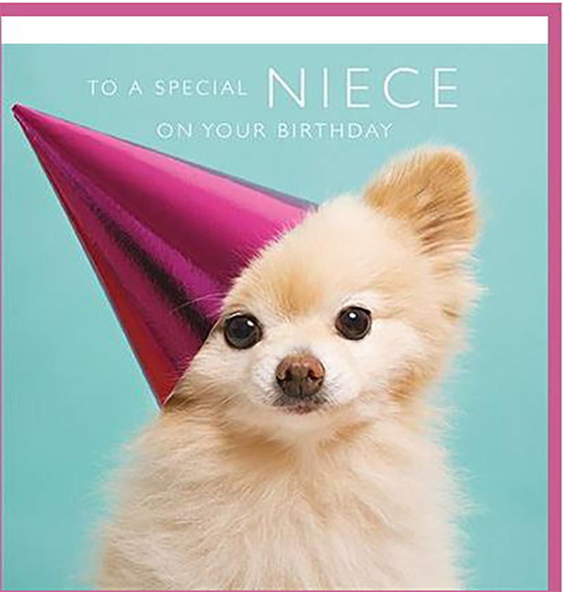 Photogram: Spec Niece Puppy