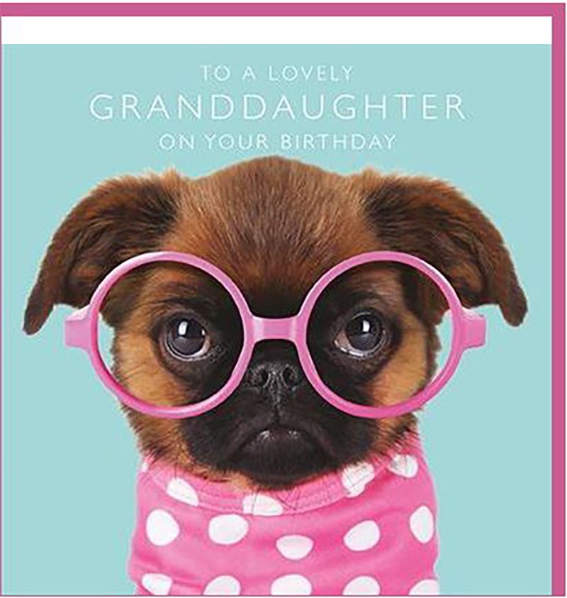 Photogram: Granddaughter Puppy