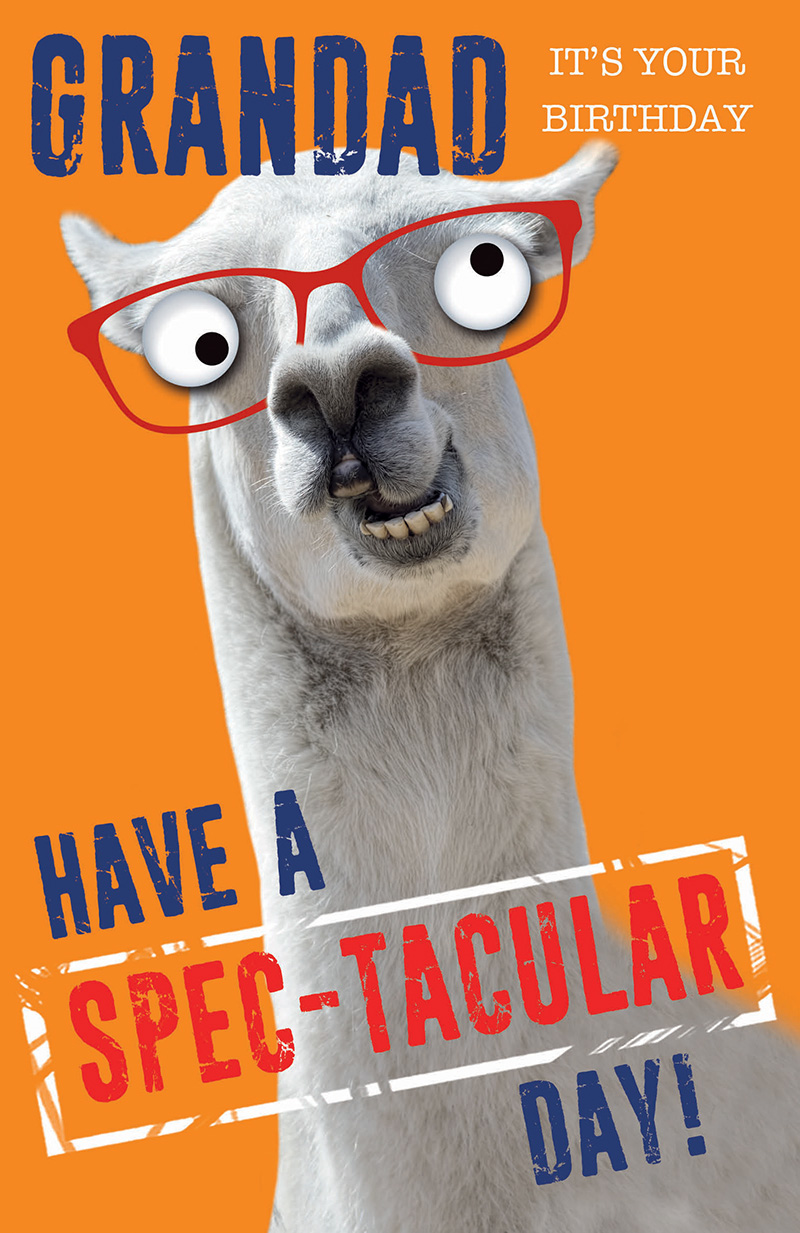 Crazy Eyes: Grandad Spec Day