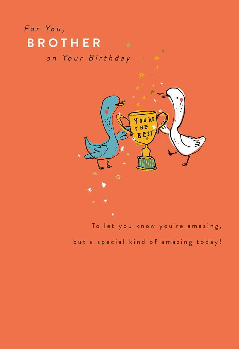 Birthday Brother Ur The Best Trophy