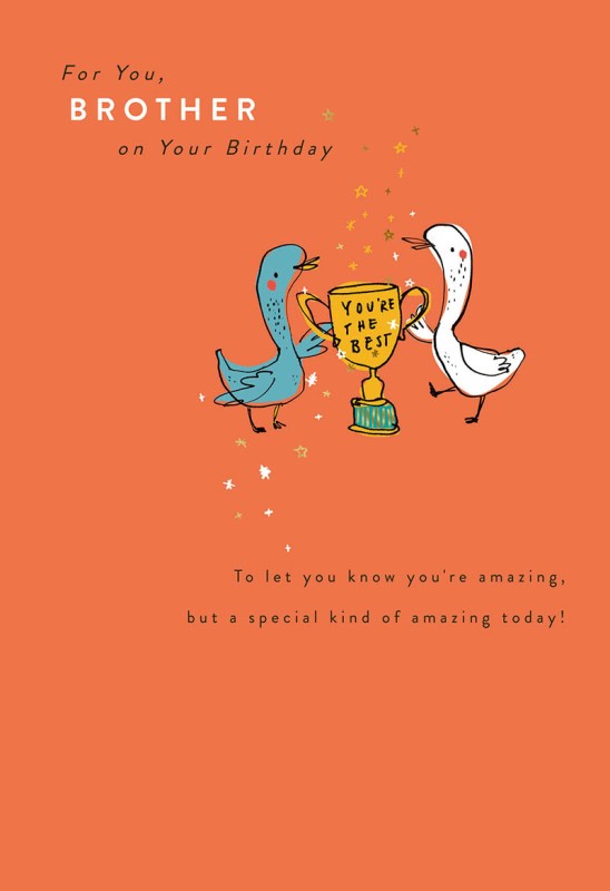 Birthday Brother Ur The Best Trophy