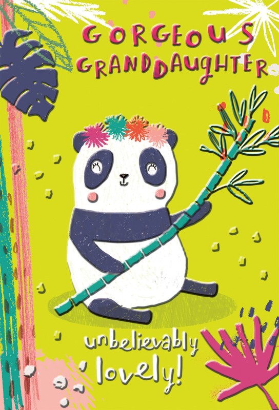 Animology: Panda Granddaughter