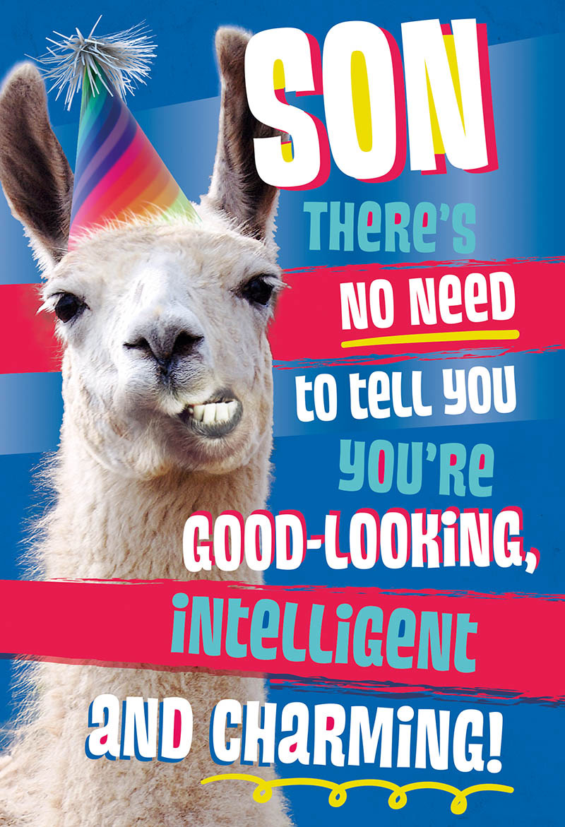 Mad As Cheese Son Llama