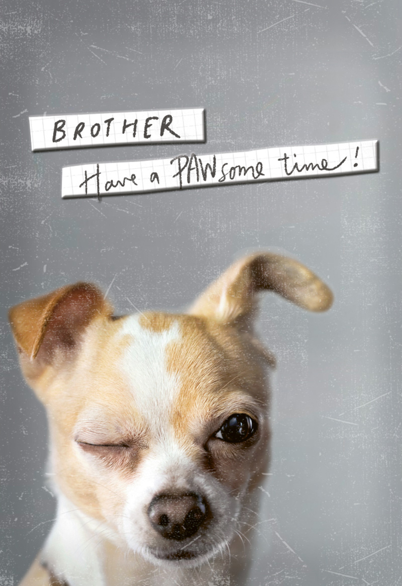 Cool Critters: Brother Pawsome
