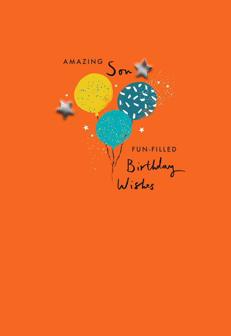 Birthday Son Fun Filled Birthday Wsh