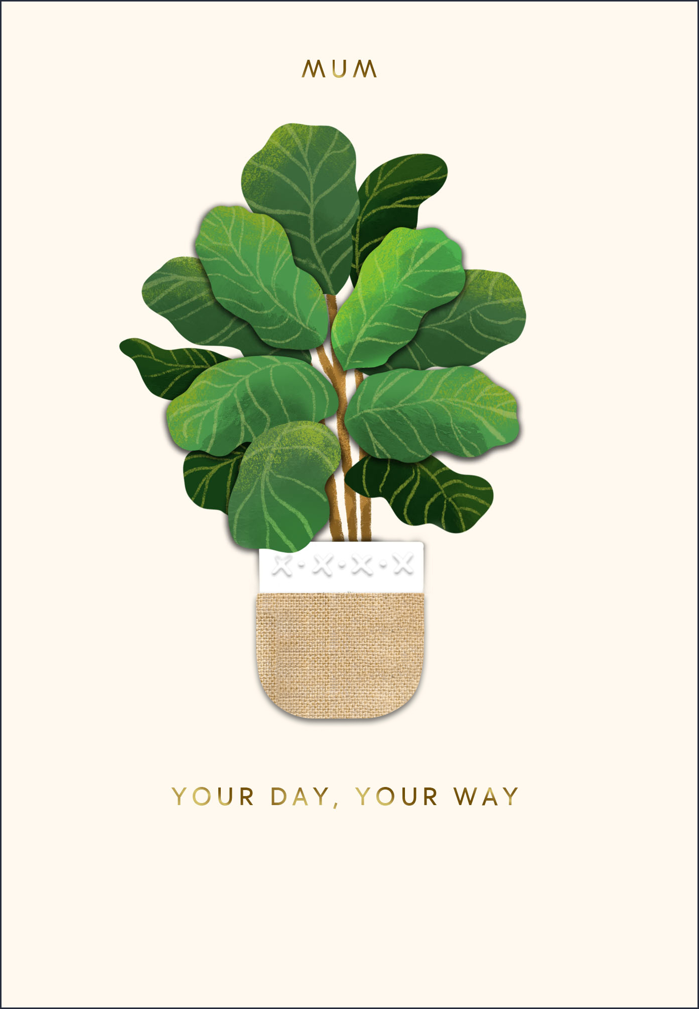 Sig Mum Your Day Plant