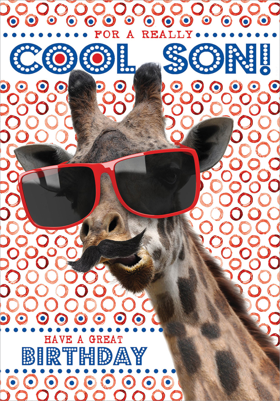 Quiney: Cool Son Giraffe