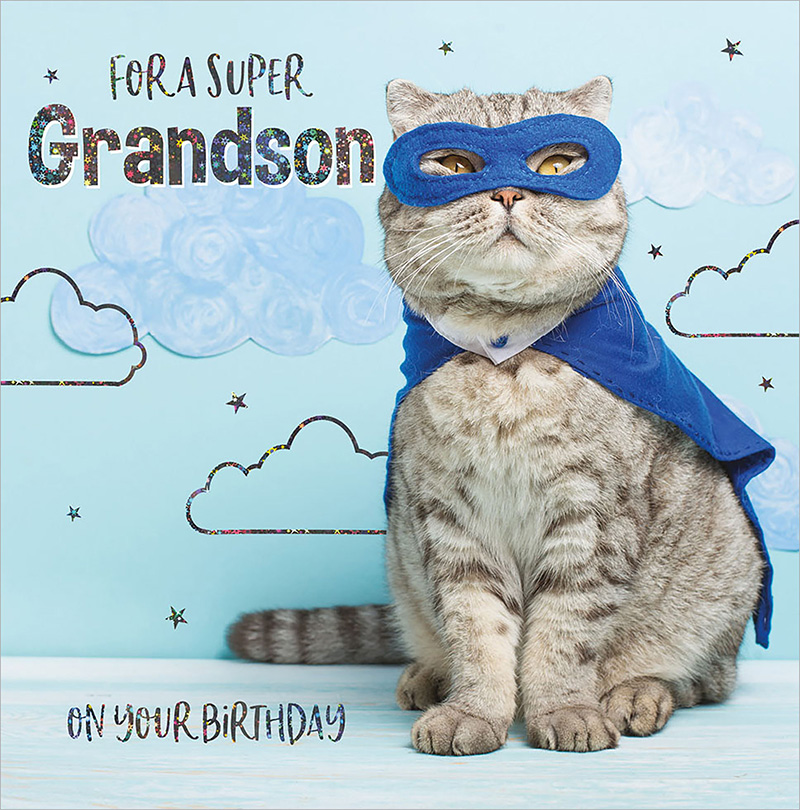 Quiney: Super Cat Grandson