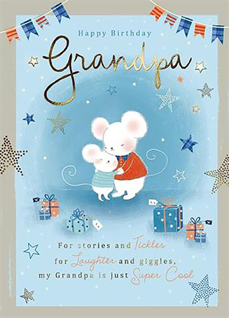 Mousekins: Birthday Grandpa Cute