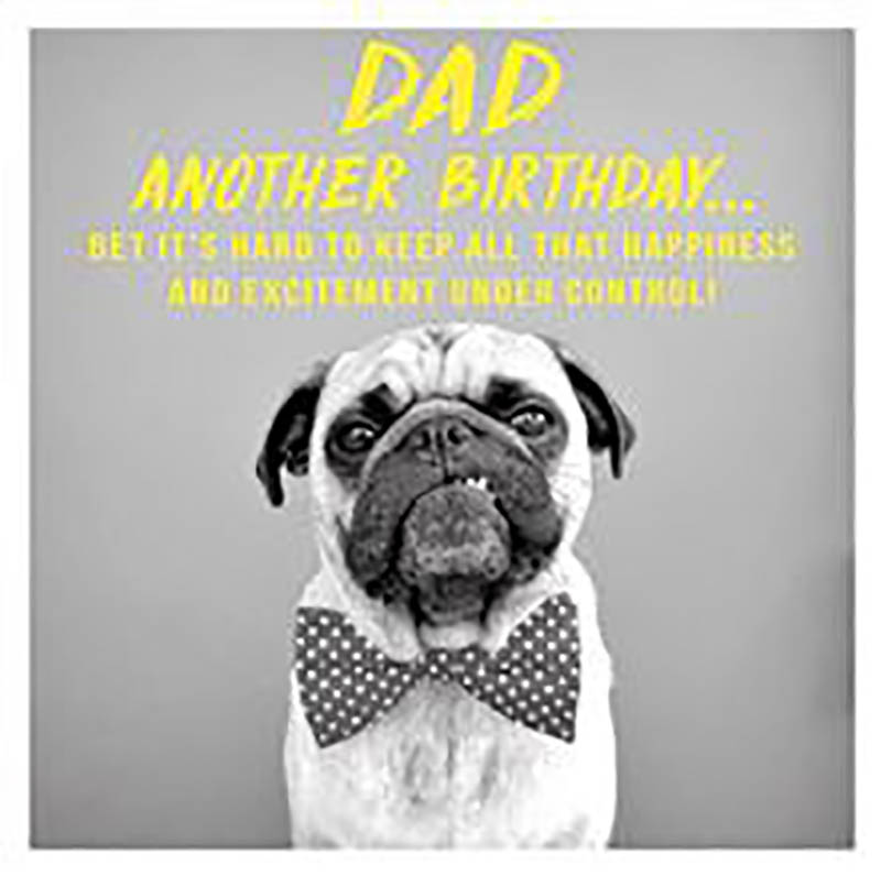 Pixel: Dad Birthday Dog Bowtie