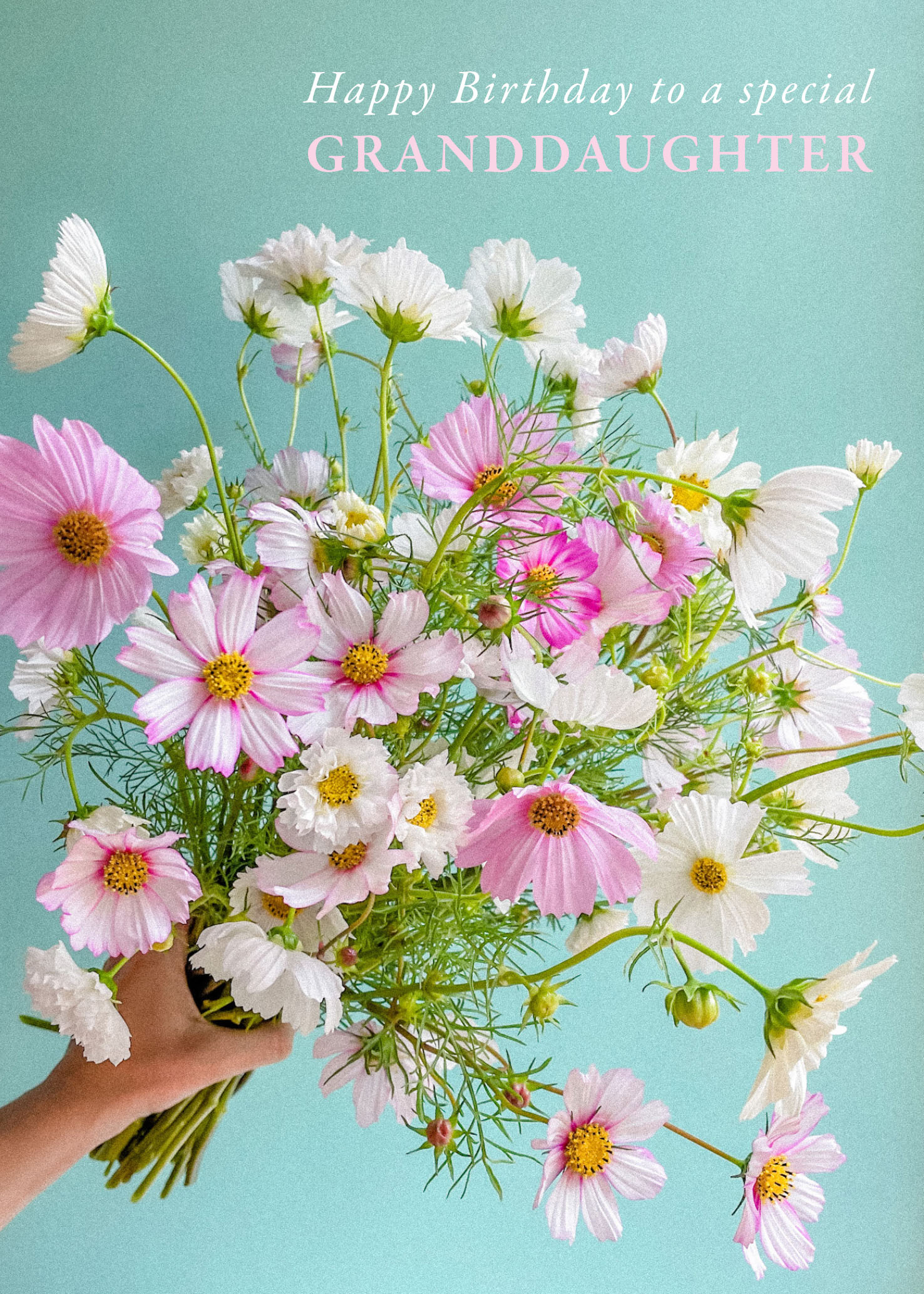 Bonnie D: Birthday Granddau Cosmos