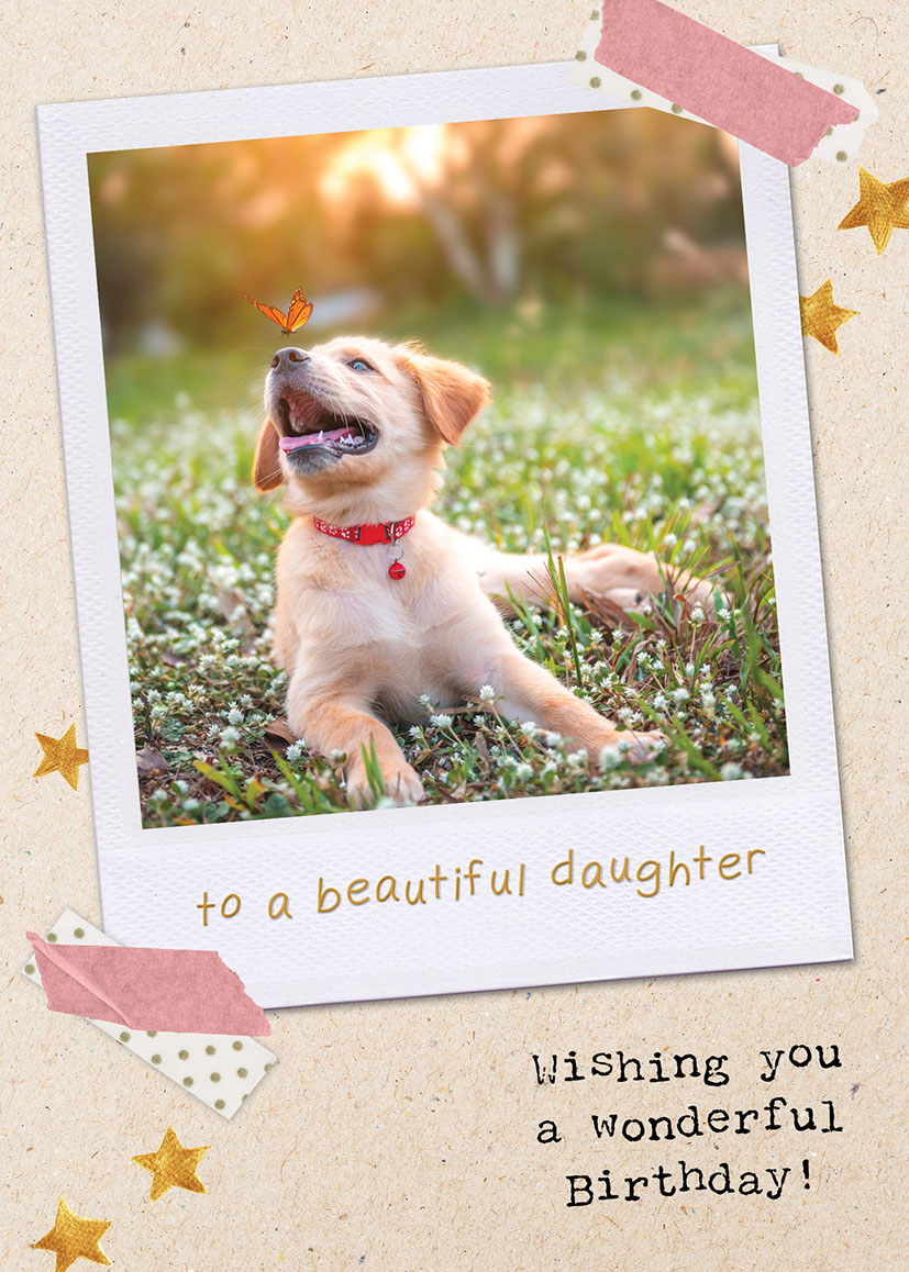 Bday Daughter Labrador Photo