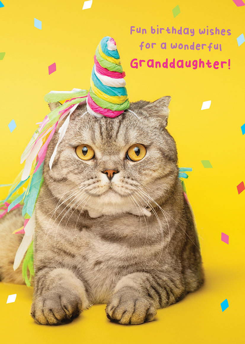 Bday Grandau Party Cat