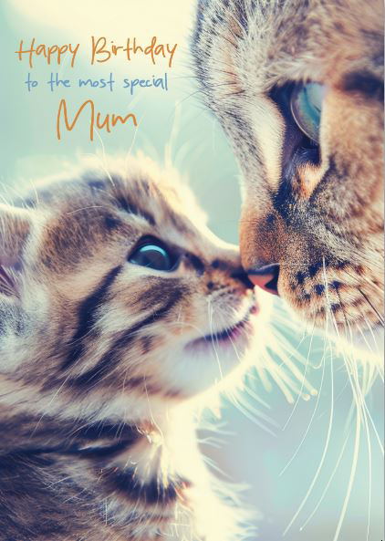 Bday Mum Kitten And Cat
