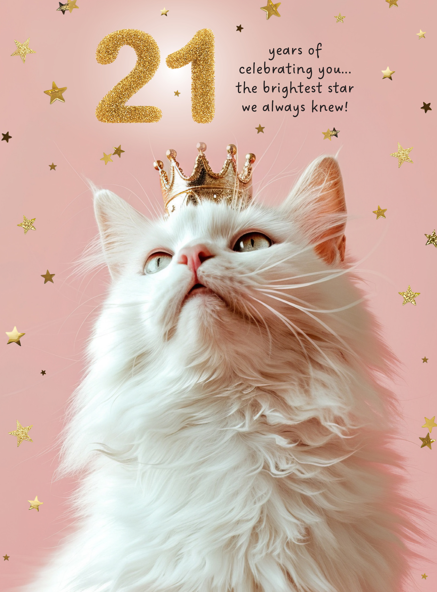 Age 21 Female Star Cat