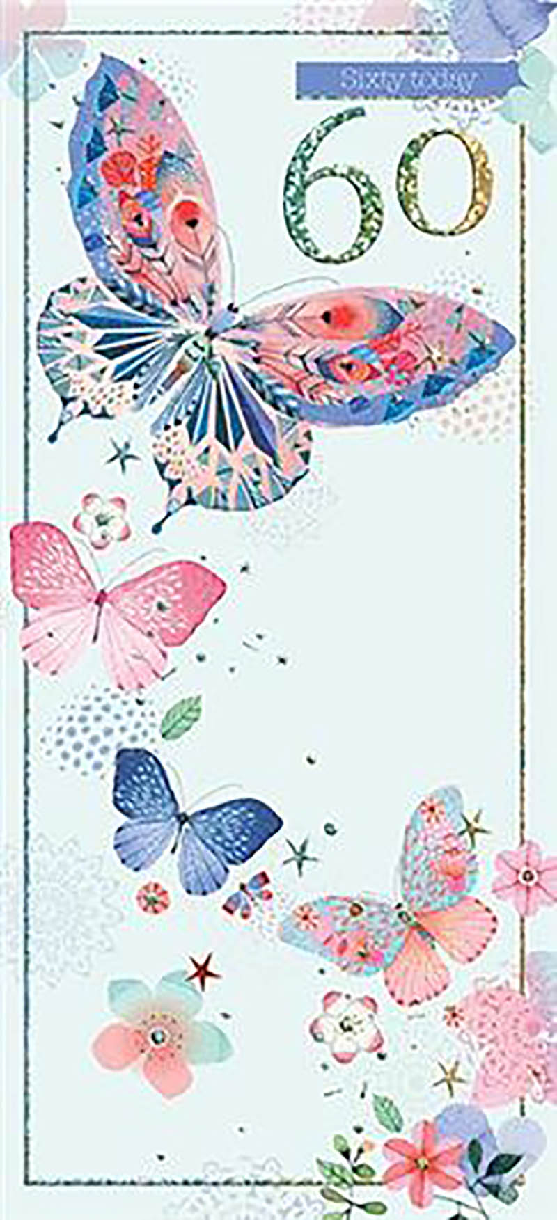 Dreamcatcher: Age 60 Btrflies#