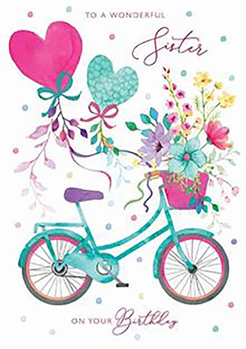 Lustre: Sis Birthday Bike