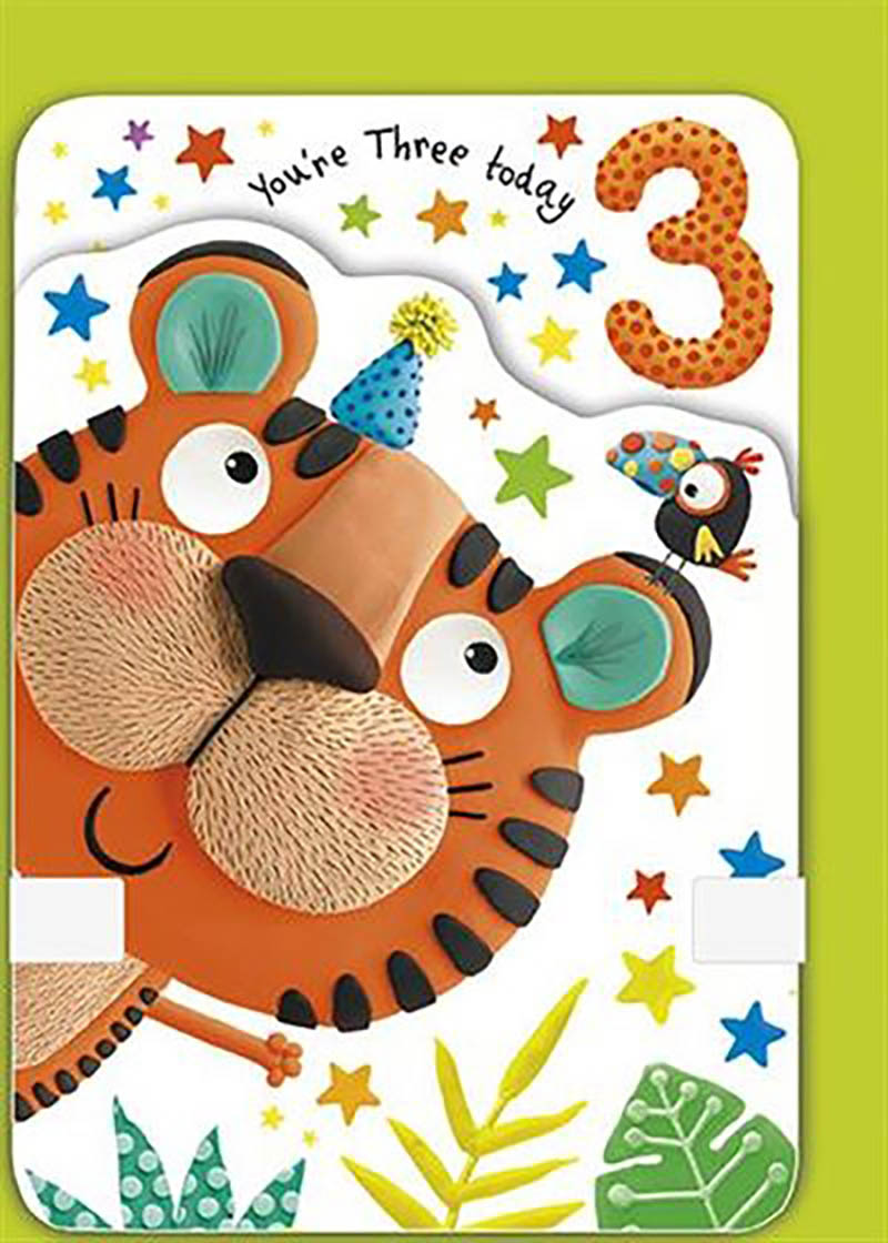 Age 3 Boy Party Tiger