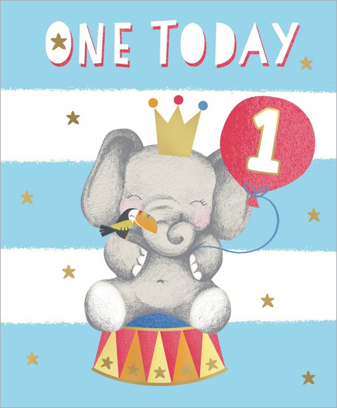 Age 1 Boy Elephant