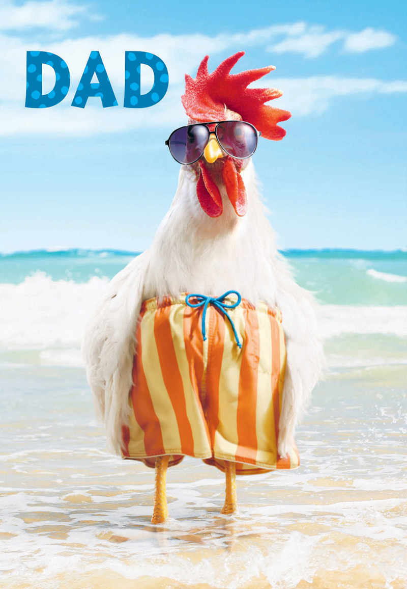 Avanti: Birthday Dad Rooster ^