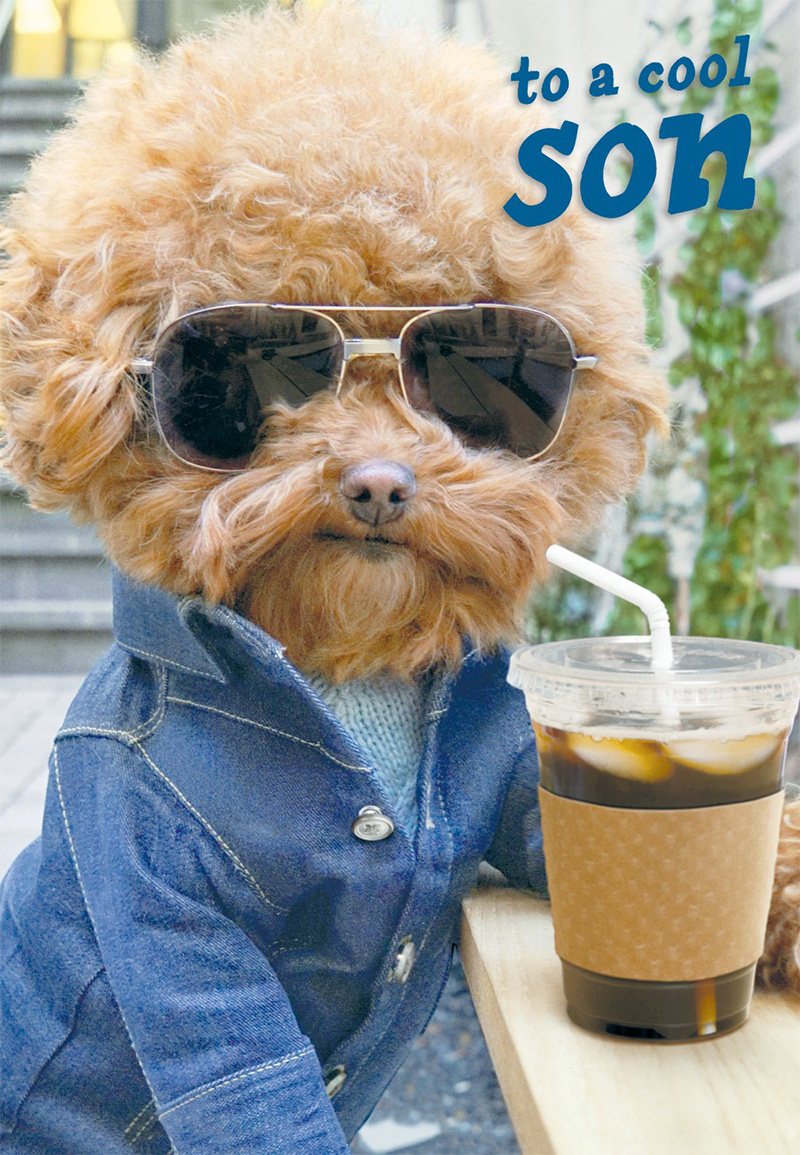 Son Avanti Birthday Dog W Coffee