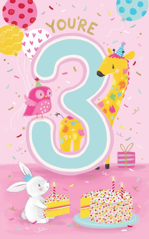 Birthday Age 3 Girl Party Animals