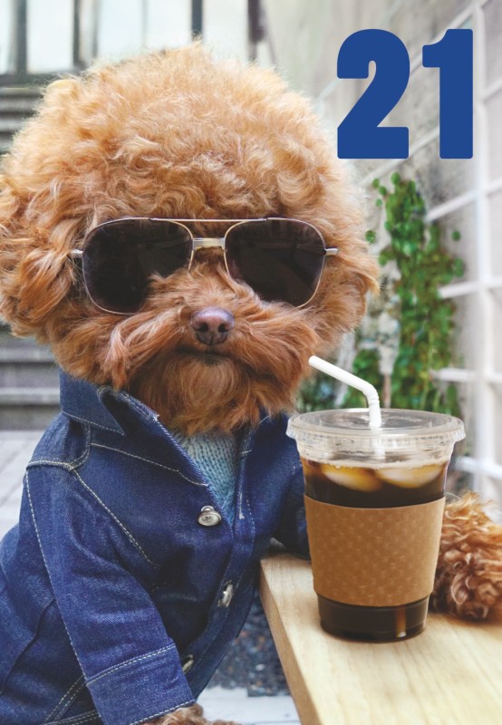 Avanti: Age 21 Male Chill