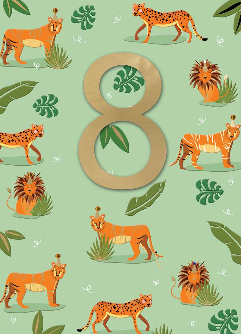 Cracker Jack: Age 8 Boy Tigers