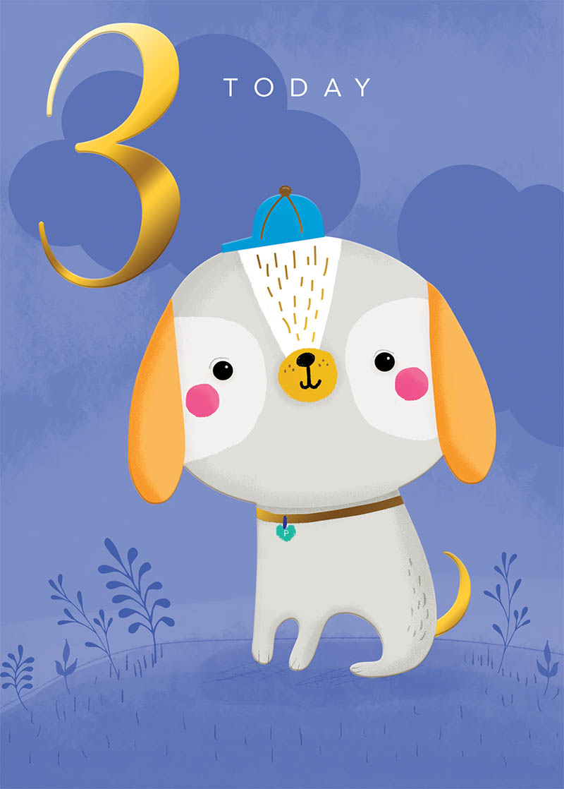 Rainbow Magic: Age 3 Boy