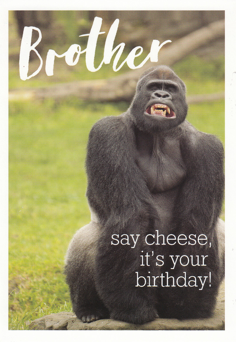 Framed 5X7: Brother Say Cheese