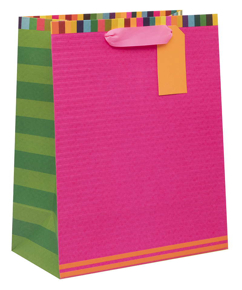 Gift Bag (Large): Colour Hub Pink