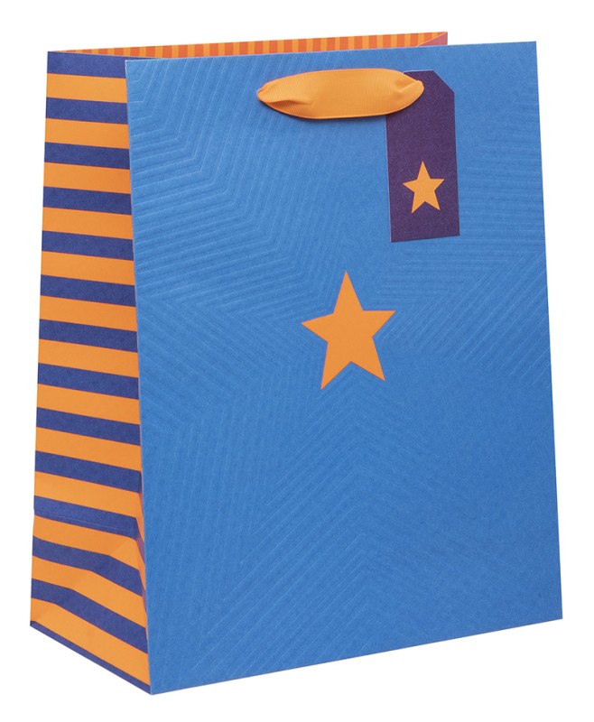 Gift Bag (Large): Colour Hub Blue