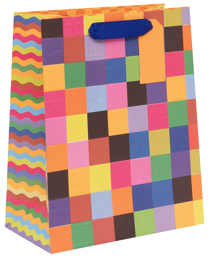 Gift Bag (Large): Colour Hub Check Out