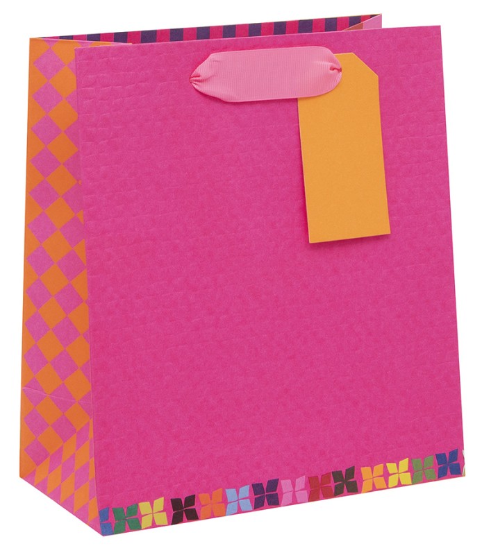 Gift Bag (Medium): Colour Hub Pink